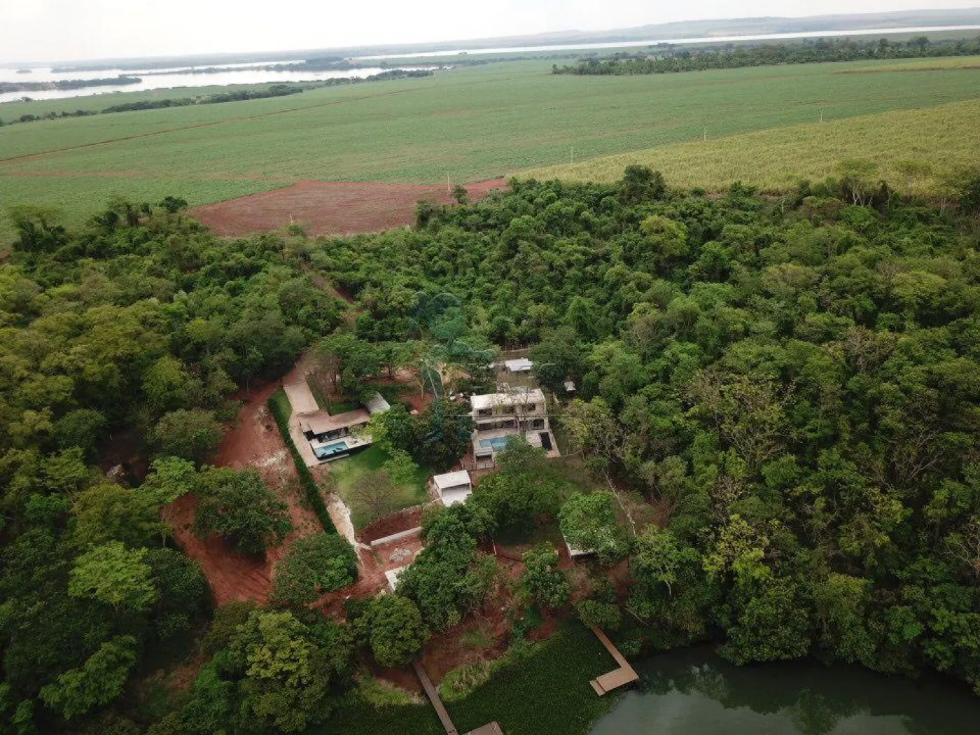 Comprar Rural / Fazenda em Miguelópolis R$ 4.000.000,00 - Foto 1