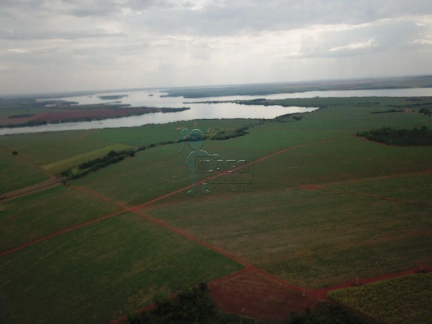 Comprar Rural / Fazenda em Miguelópolis R$ 4.000.000,00 - Foto 6