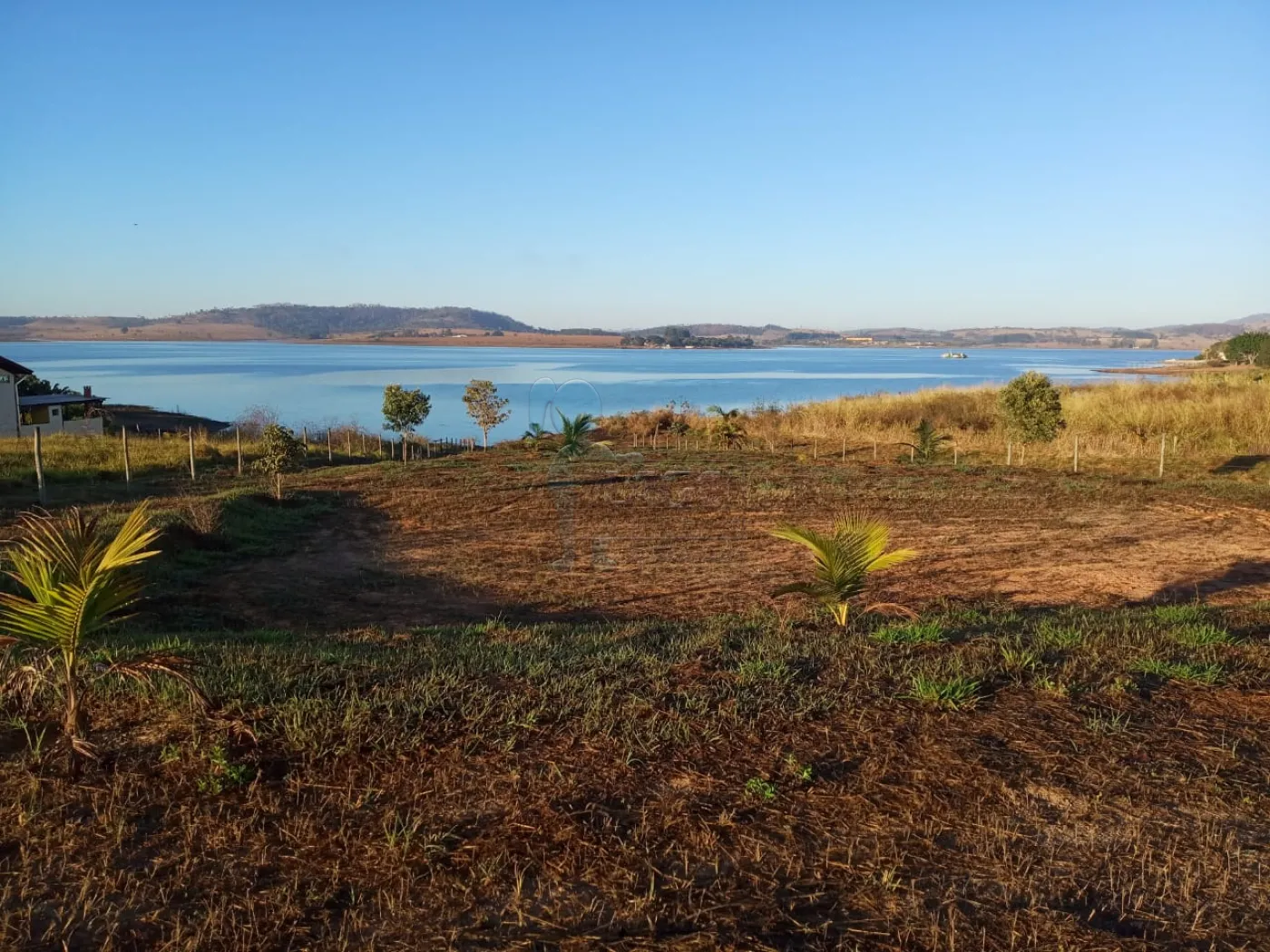 Comprar Terreno / Área em Delfinópolis R$ 450.000,00 - Foto 1