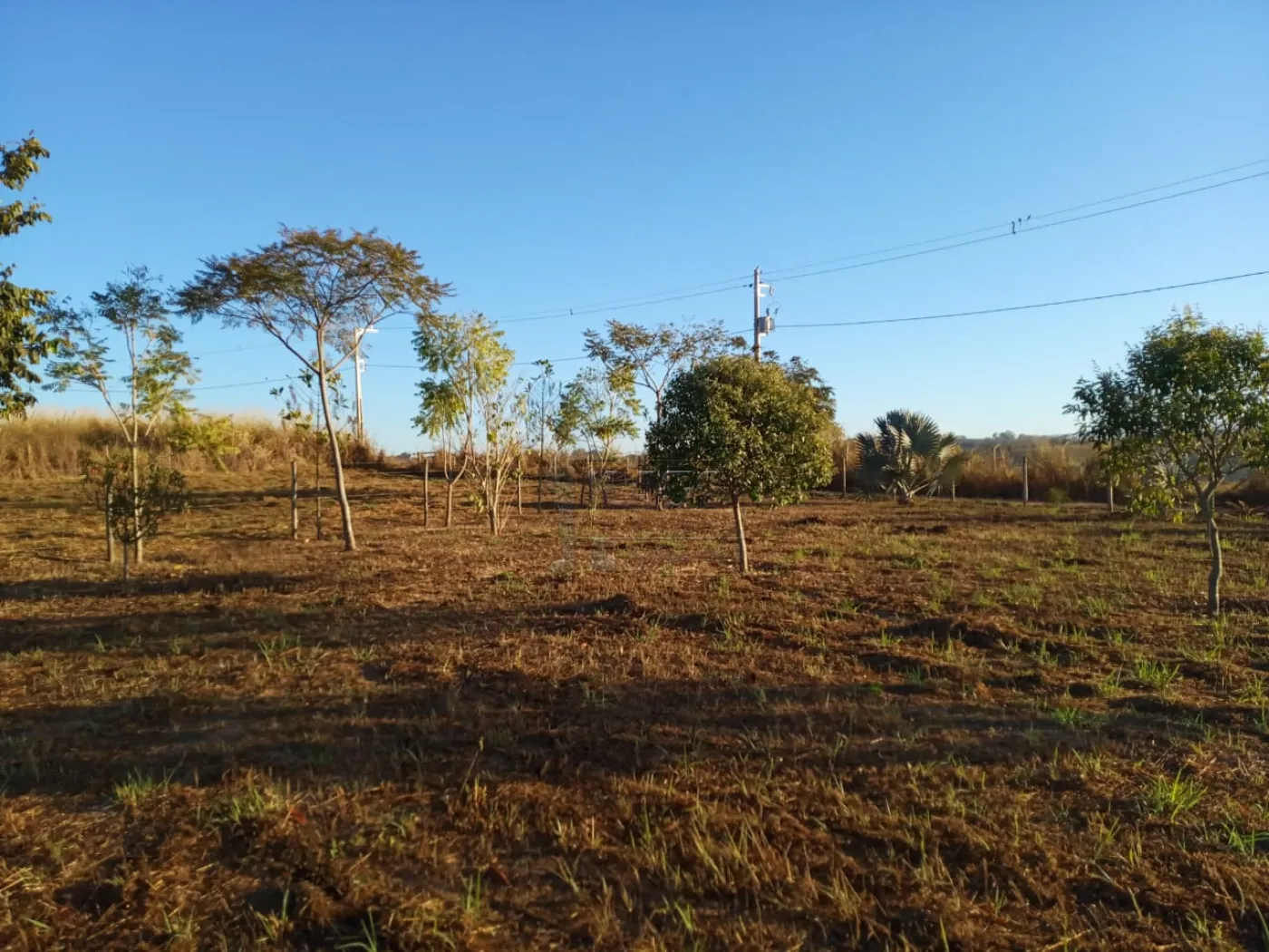 Comprar Terreno / Área em Delfinópolis R$ 450.000,00 - Foto 3