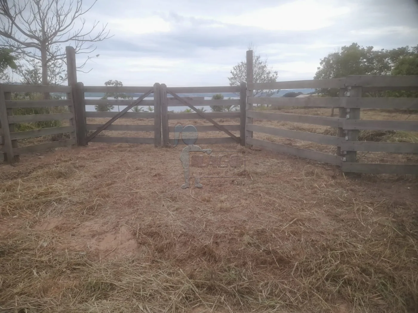 Comprar Terreno / Área em Delfinópolis R$ 450.000,00 - Foto 6