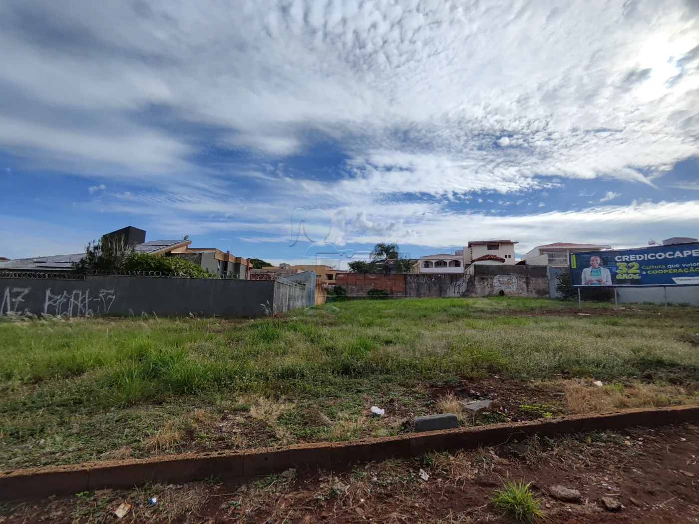 Alugar Terreno / Padrão em Ribeirão Preto R$ 6.000,00 - Foto 1