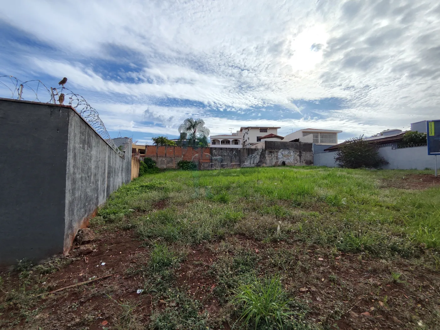 Alugar Terreno / Padrão em Ribeirão Preto R$ 6.000,00 - Foto 2