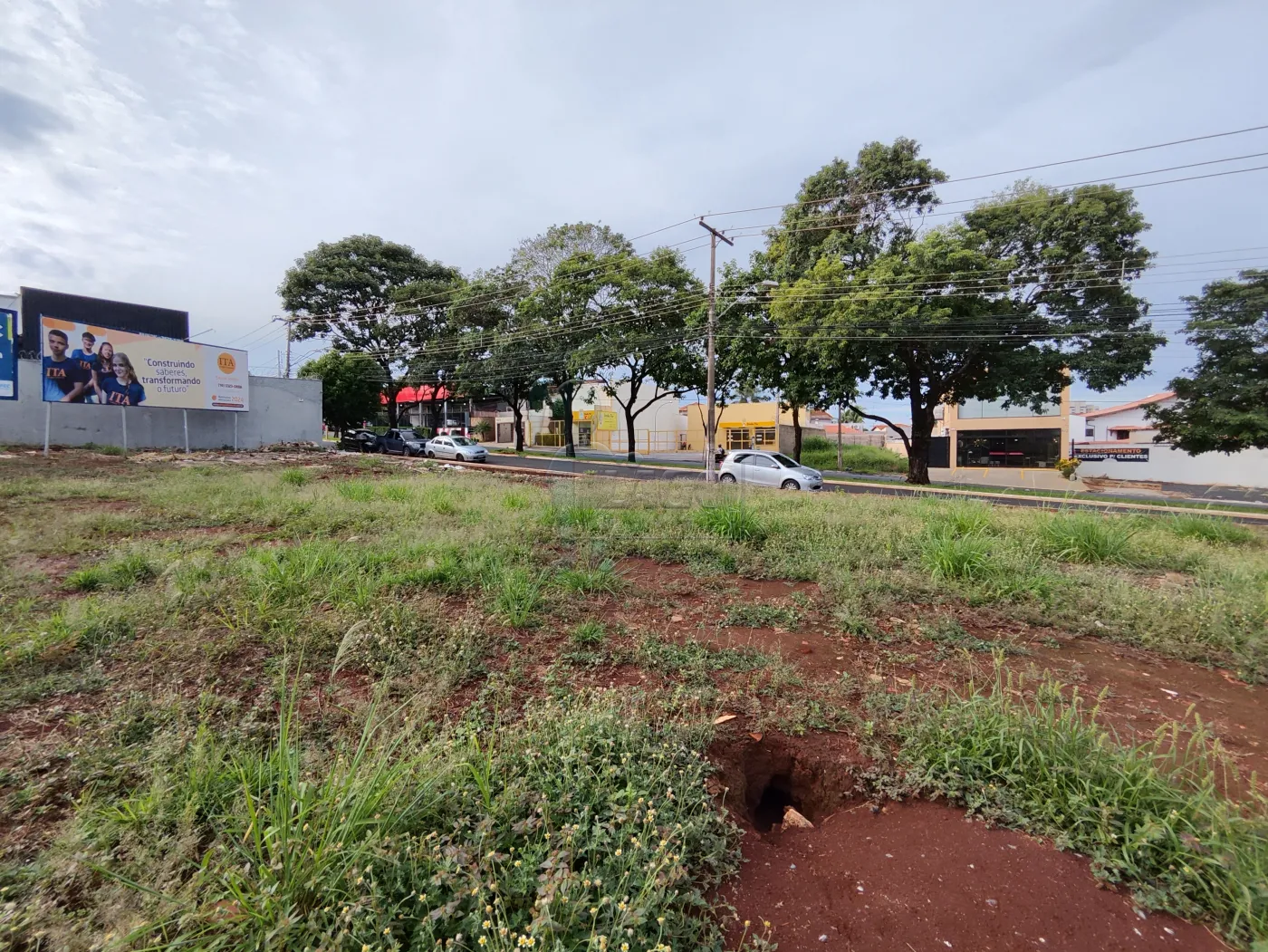 Alugar Terreno / Padrão em Ribeirão Preto R$ 6.000,00 - Foto 3