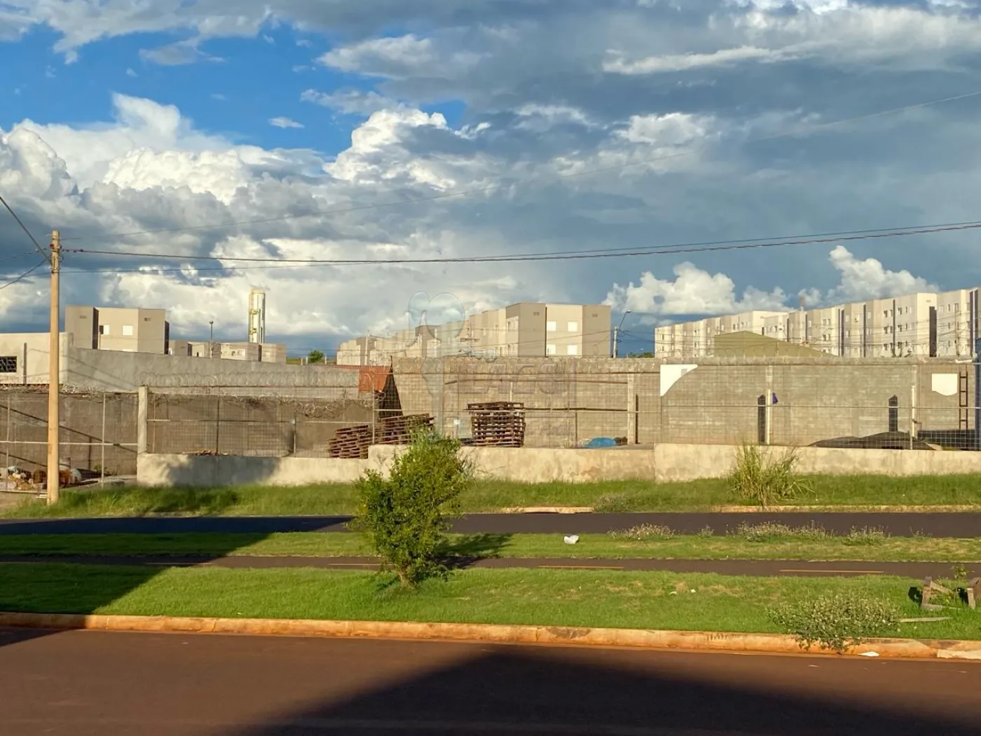 Alugar Comercial padrão / Loja em Ribeirão Preto R$ 12.000,00 - Foto 11