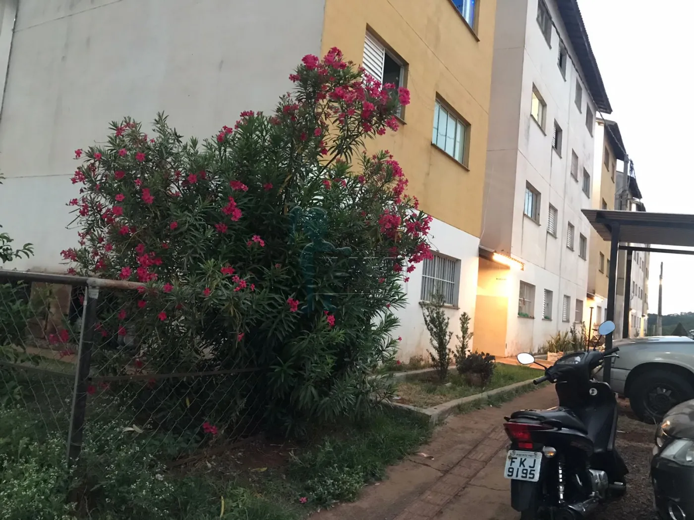 Comprar Apartamento / Padrão em Ribeirão Preto R$ 96.000,00 - Foto 1