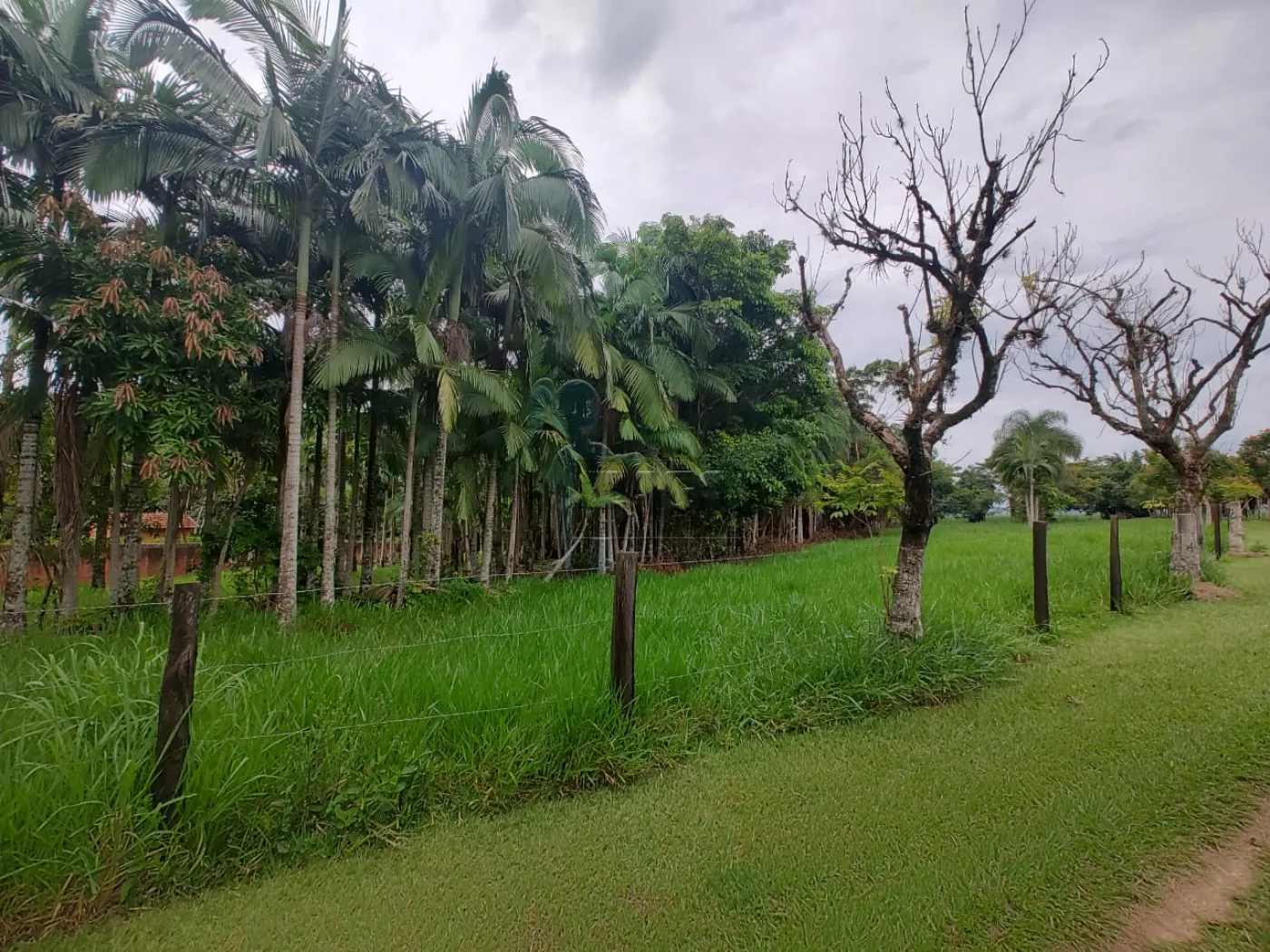 Comprar Rural / Fazenda em Santa Rita do Passa Quatro R$ 2.850.000,00 - Foto 6