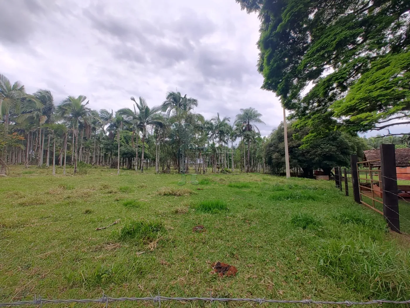 Comprar Rural / Fazenda em Santa Rita do Passa Quatro R$ 2.850.000,00 - Foto 7