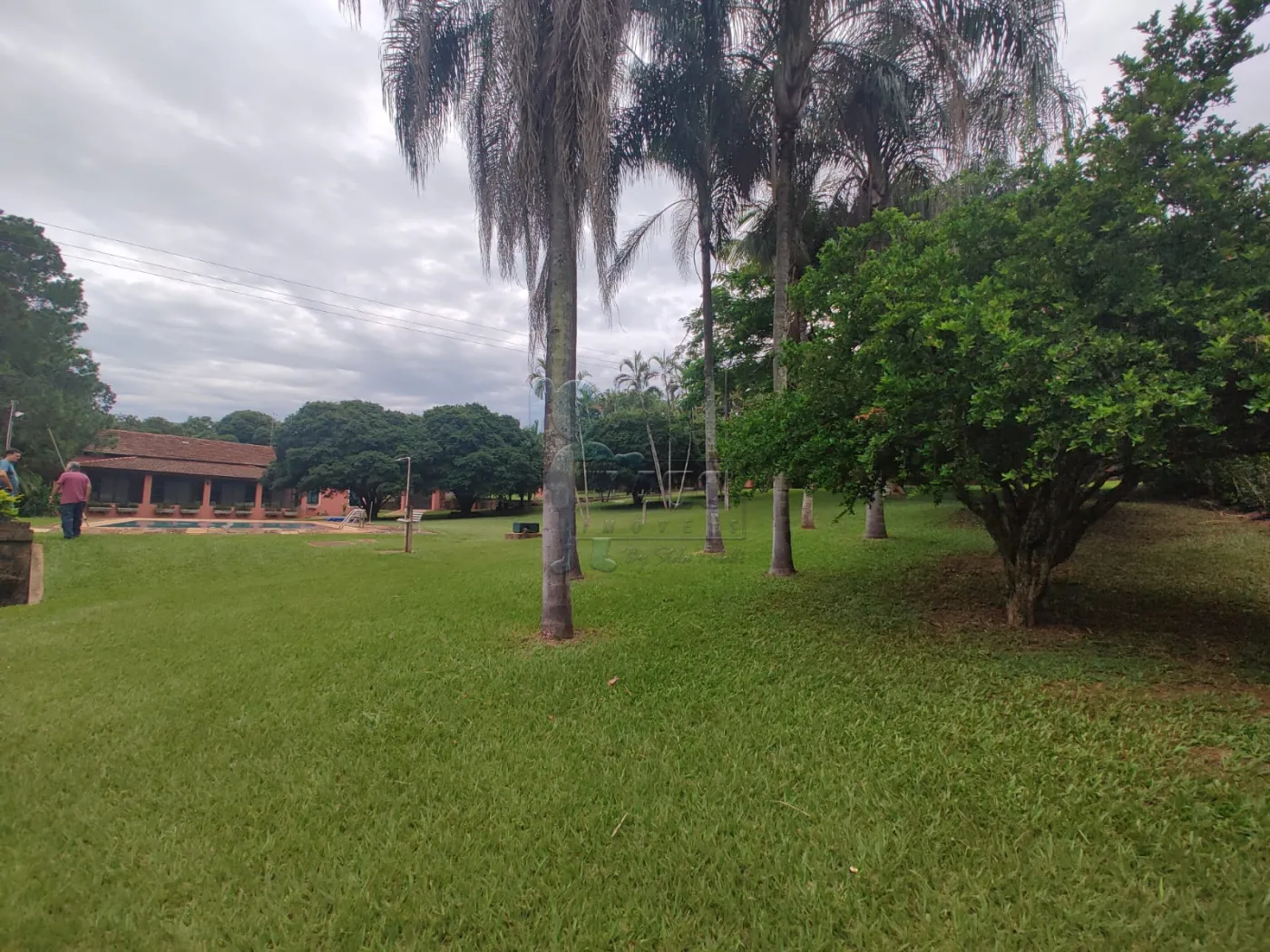 Comprar Rural / Fazenda em Santa Rita do Passa Quatro R$ 2.850.000,00 - Foto 50