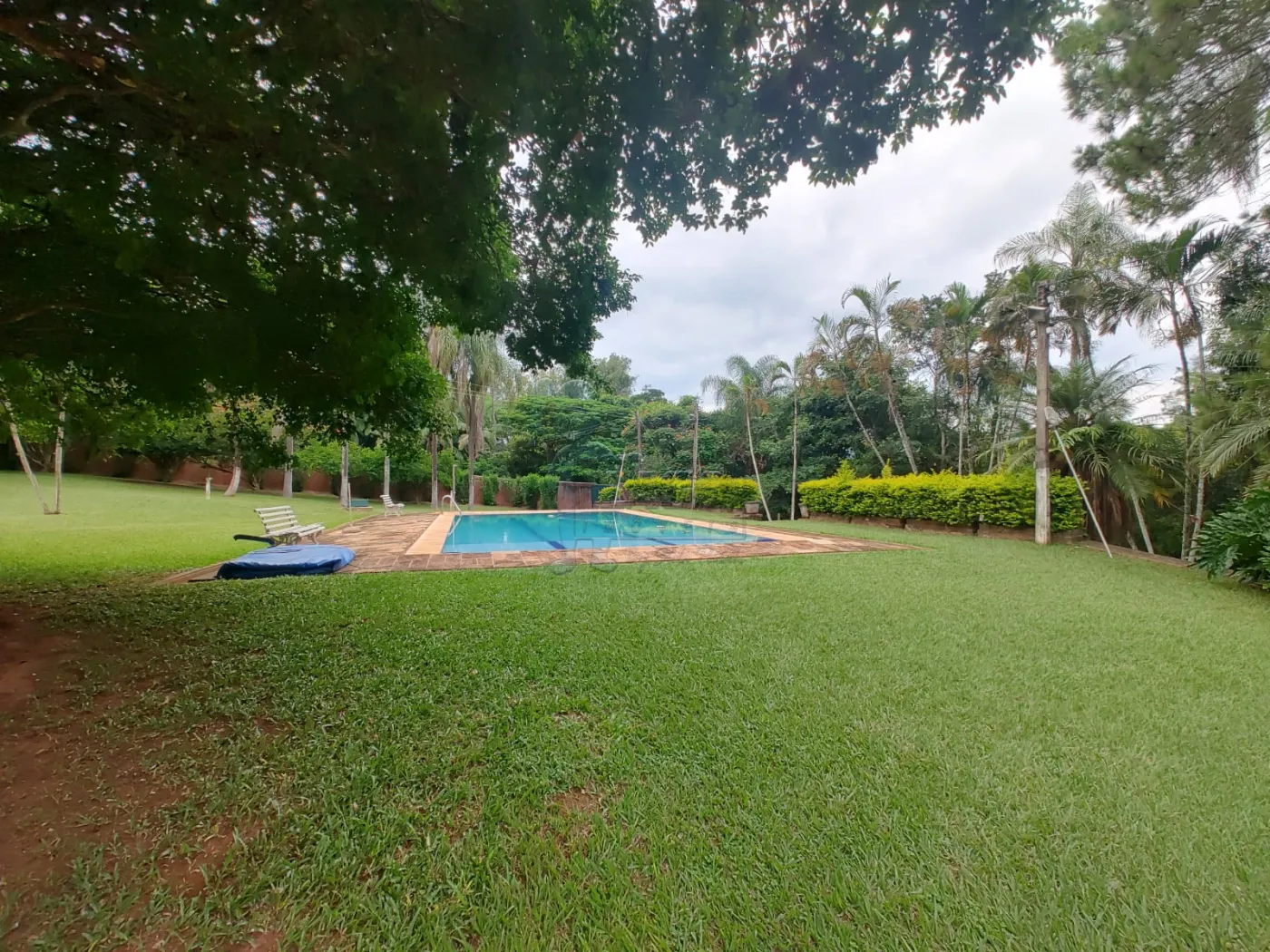 Comprar Rural / Fazenda em Santa Rita do Passa Quatro R$ 2.850.000,00 - Foto 47