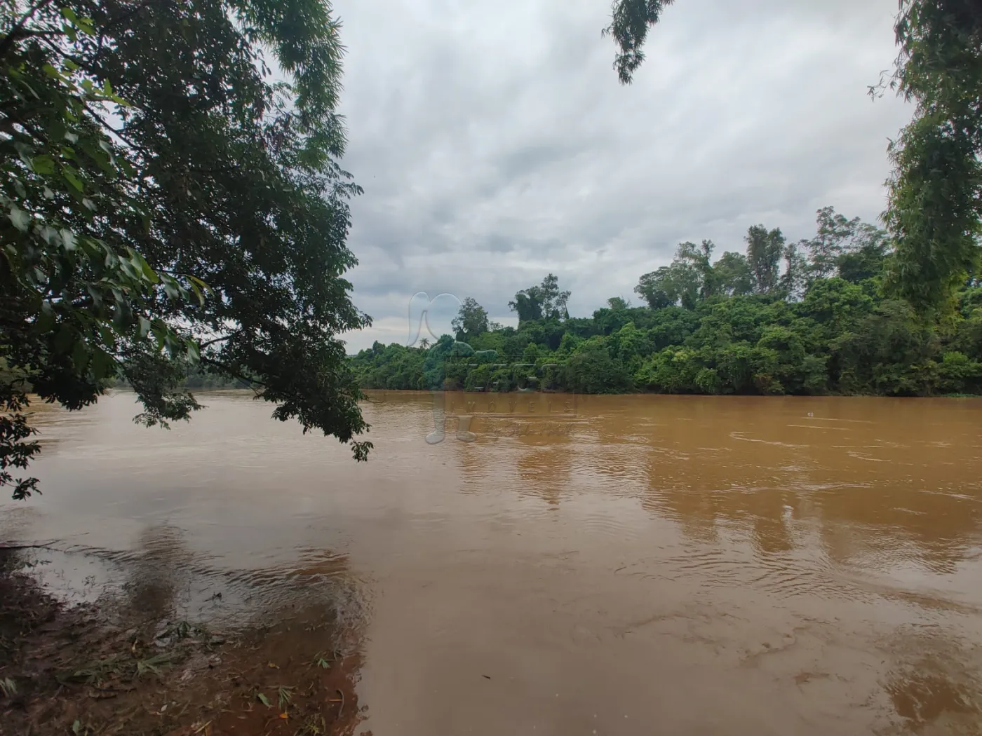 Comprar Rural / Fazenda em Santa Rita do Passa Quatro R$ 2.850.000,00 - Foto 56