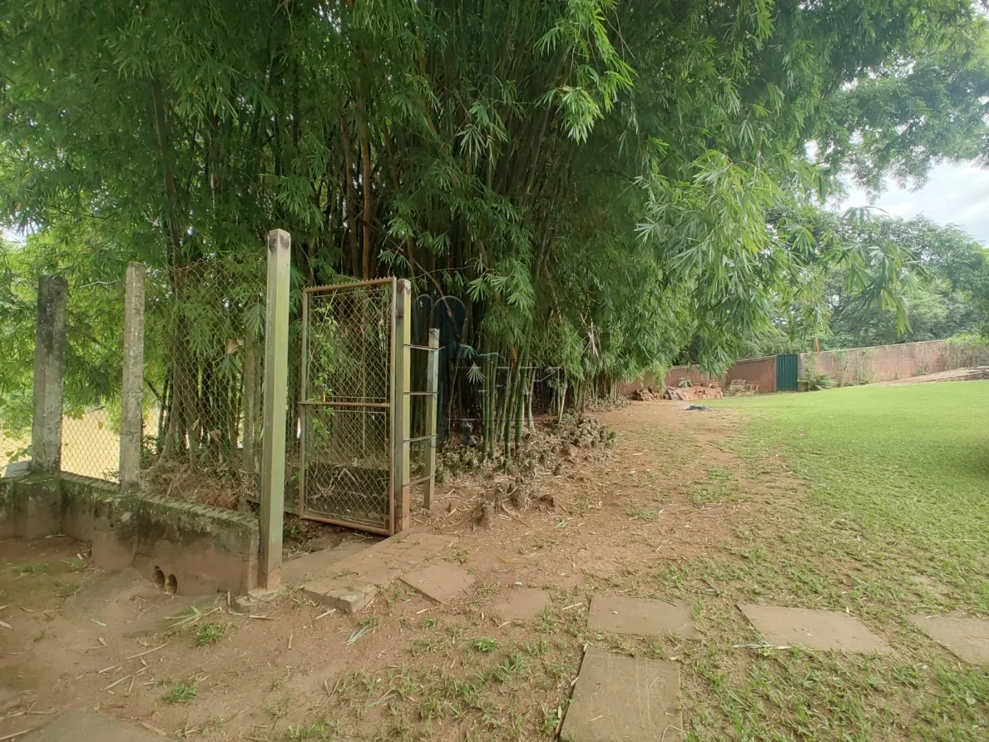 Comprar Rural / Fazenda em Santa Rita do Passa Quatro R$ 2.850.000,00 - Foto 55