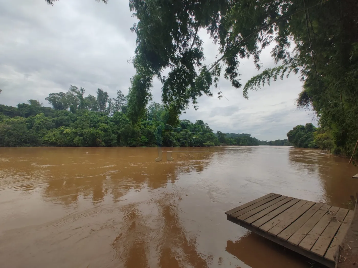 Comprar Rural / Fazenda em Santa Rita do Passa Quatro R$ 2.850.000,00 - Foto 57