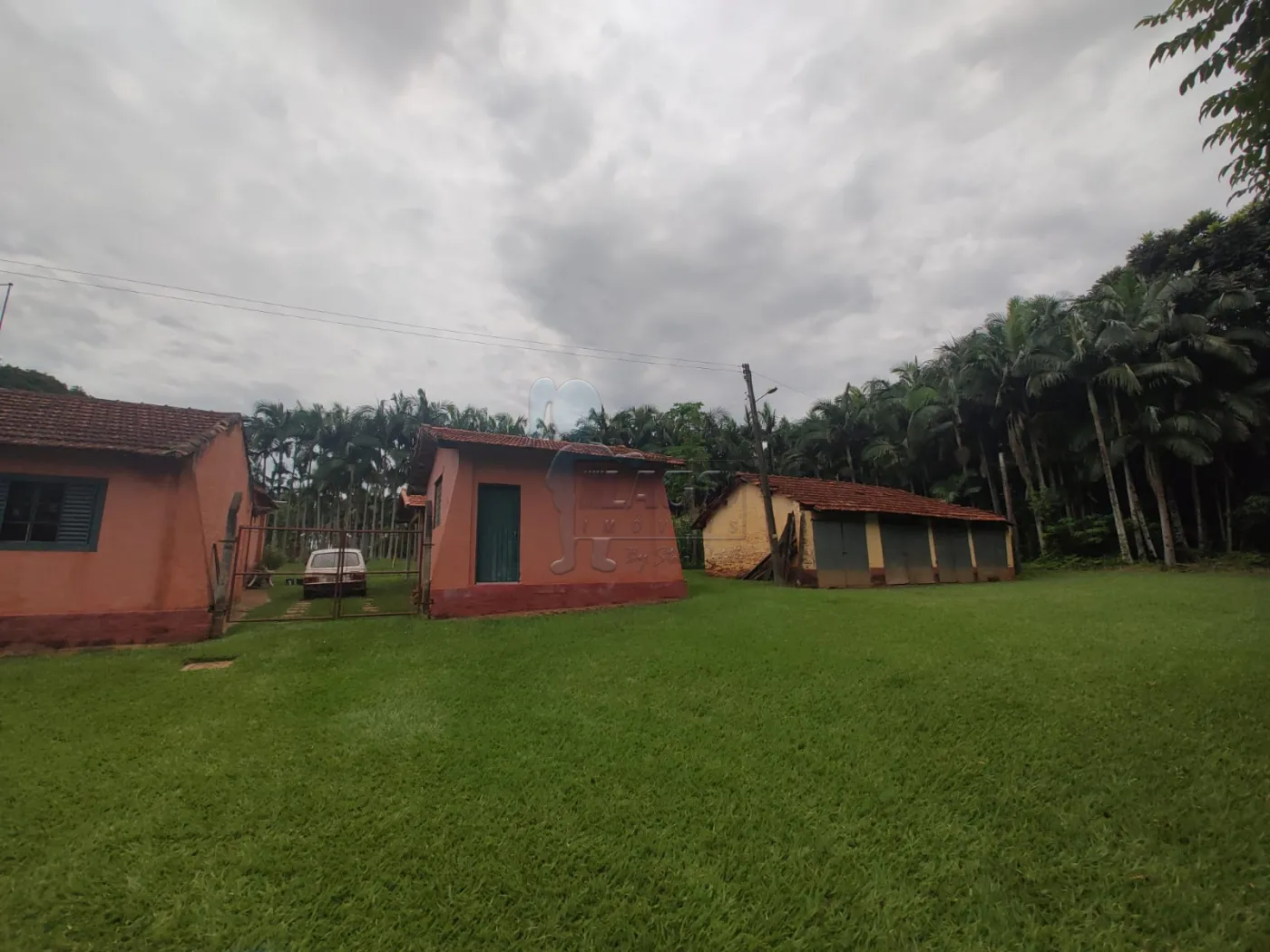 Comprar Rural / Fazenda em Santa Rita do Passa Quatro R$ 2.850.000,00 - Foto 70