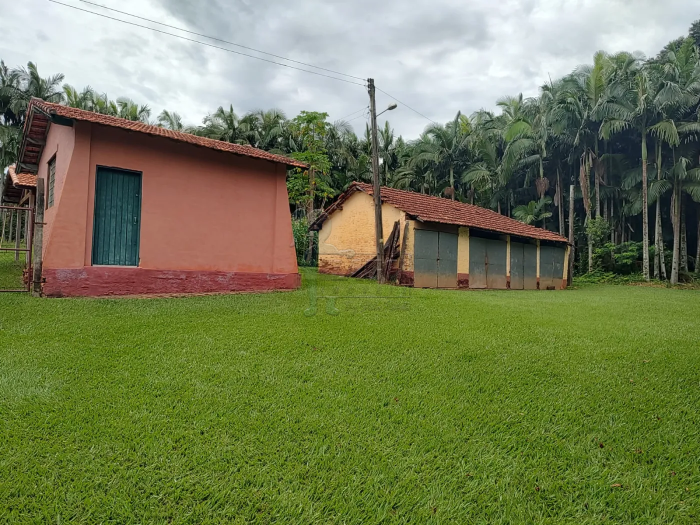 Comprar Rural / Fazenda em Santa Rita do Passa Quatro R$ 2.850.000,00 - Foto 71