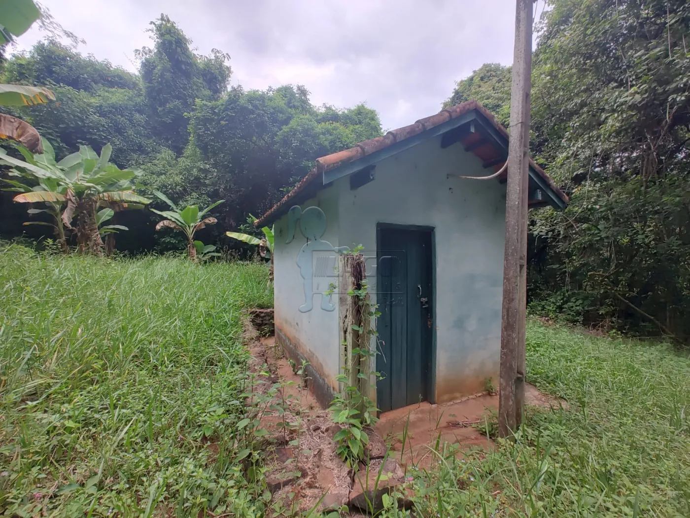 Comprar Rural / Fazenda em Santa Rita do Passa Quatro R$ 2.850.000,00 - Foto 72