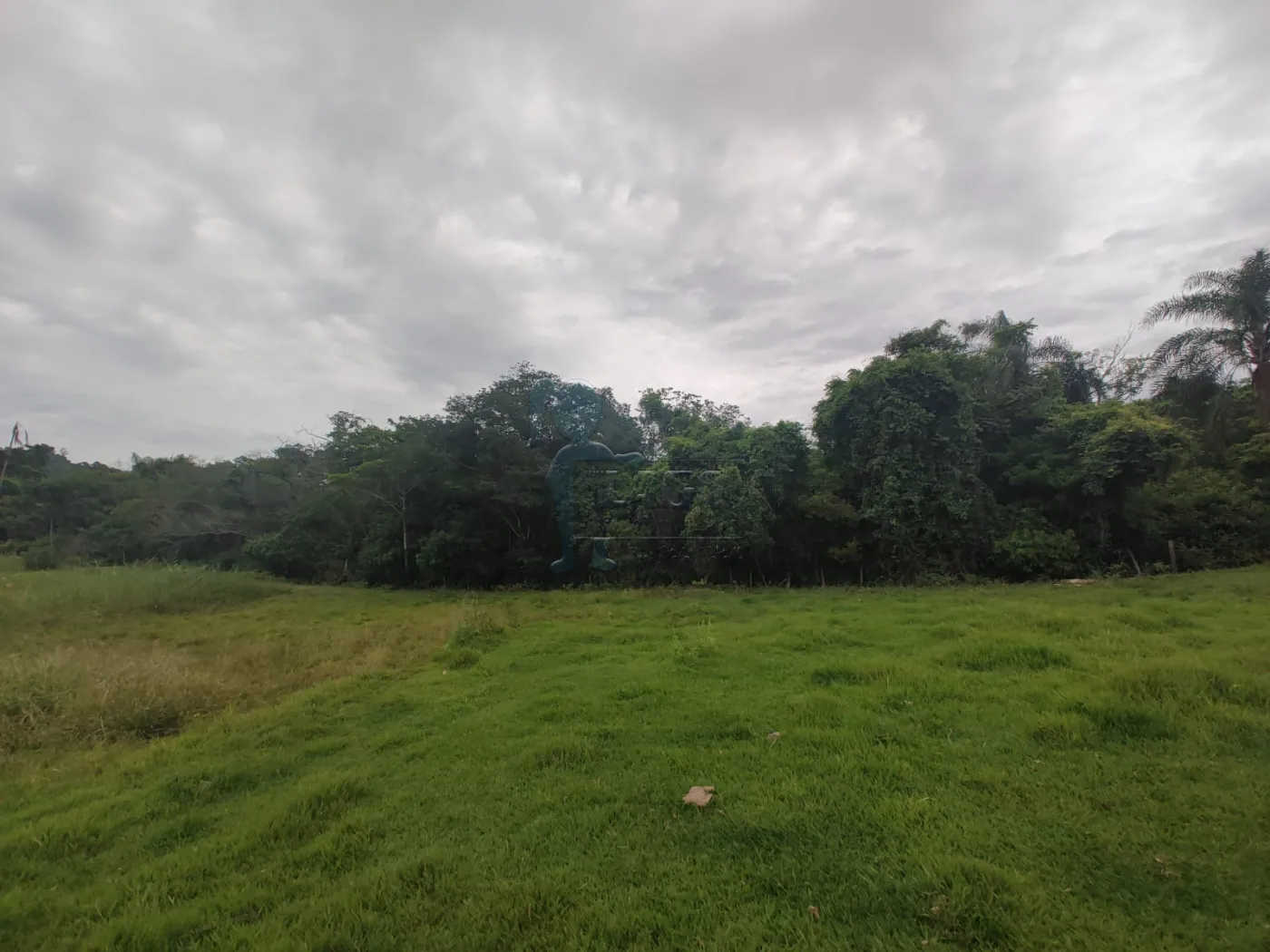 Comprar Rural / Fazenda em Santa Rita do Passa Quatro R$ 2.850.000,00 - Foto 75