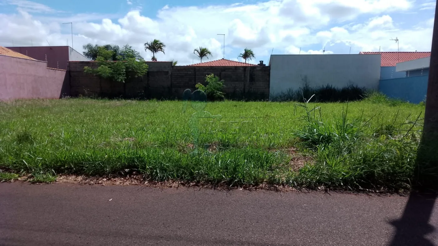 Comprar Terreno / Padrão em Cravinhos R$ 480.000,00 - Foto 5