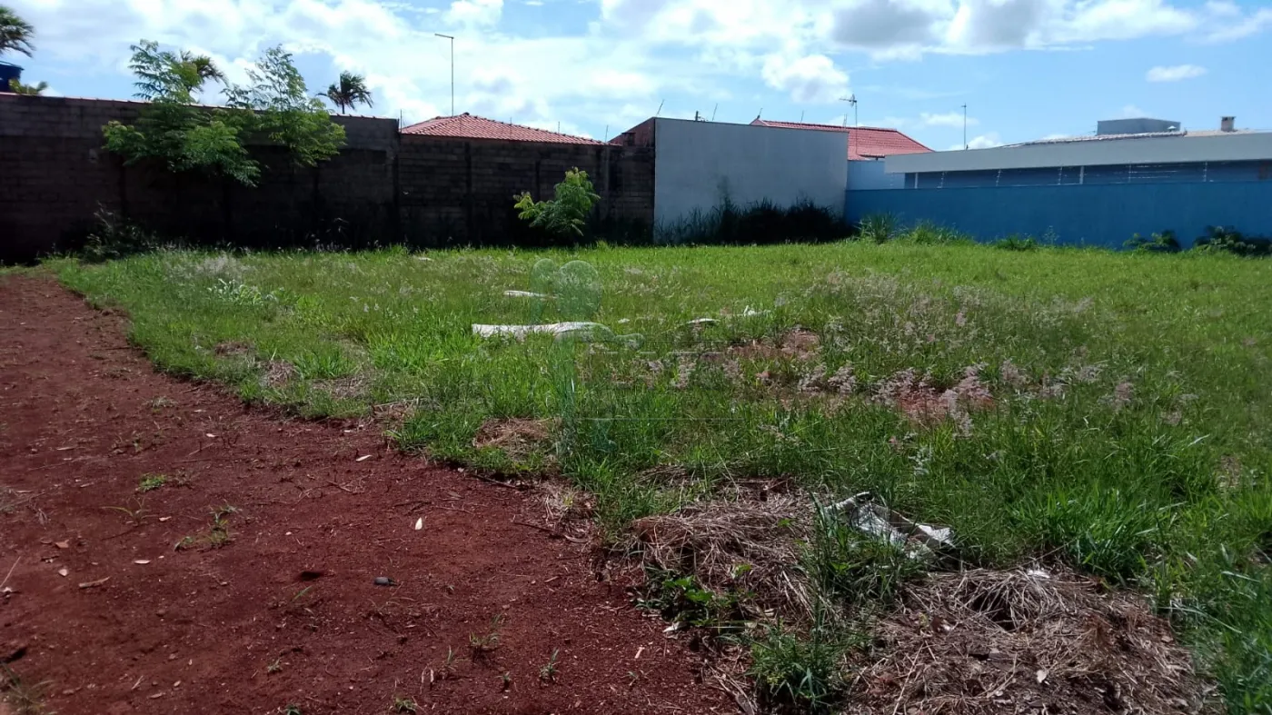 Comprar Terreno / Padrão em Cravinhos R$ 480.000,00 - Foto 7