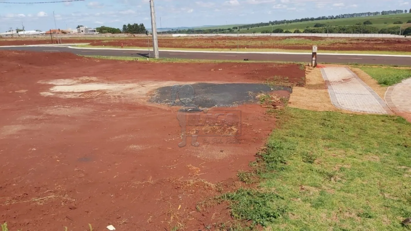 Comprar Terreno / Condomínio em Cravinhos R$ 250.000,00 - Foto 3