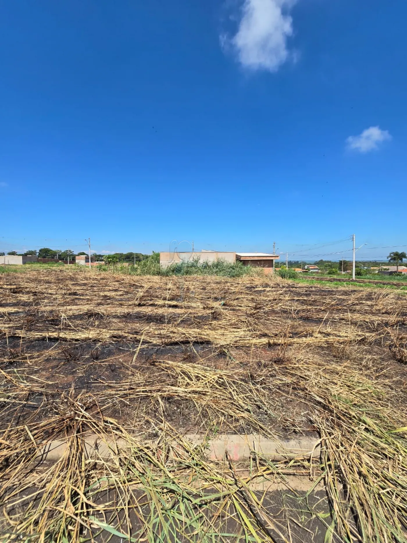 Comprar Terreno / Padrão em Jardinópolis R$ 90.000,00 - Foto 1