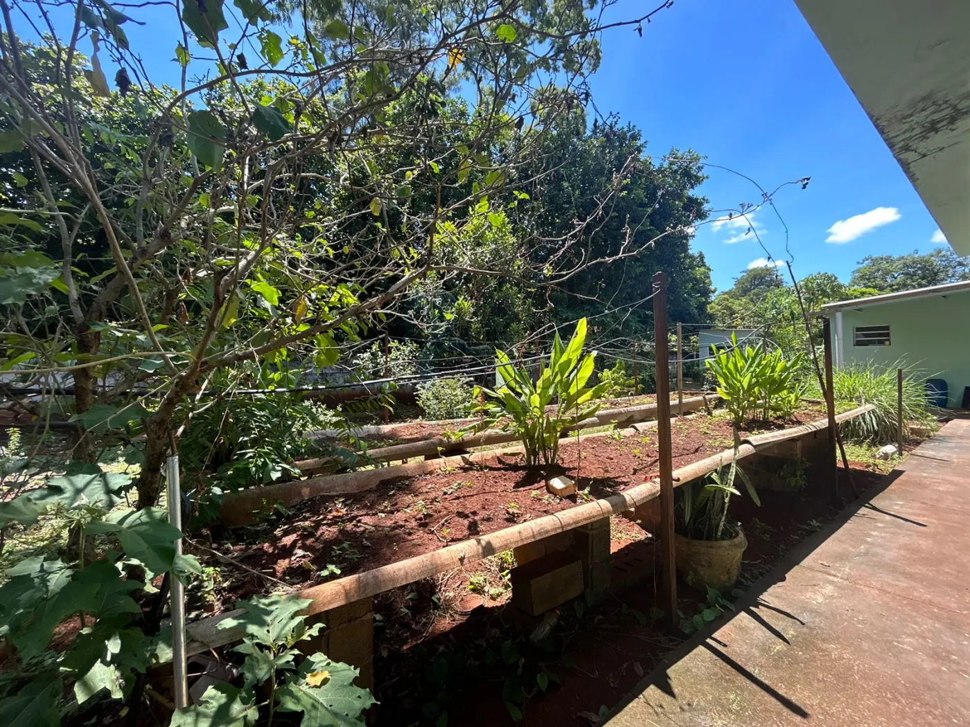 Comprar Casas / Chácara/Rancho em Ribeirão Preto R$ 1.250.000,00 - Foto 29