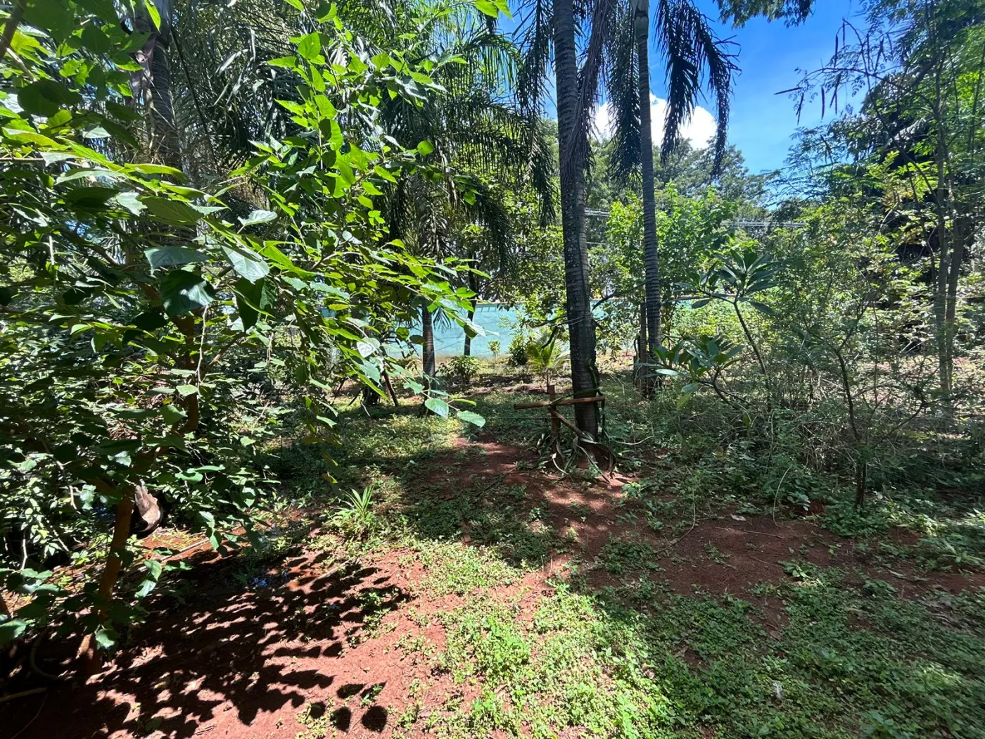 Comprar Casas / Chácara/Rancho em Ribeirão Preto R$ 1.350.000,00 - Foto 32