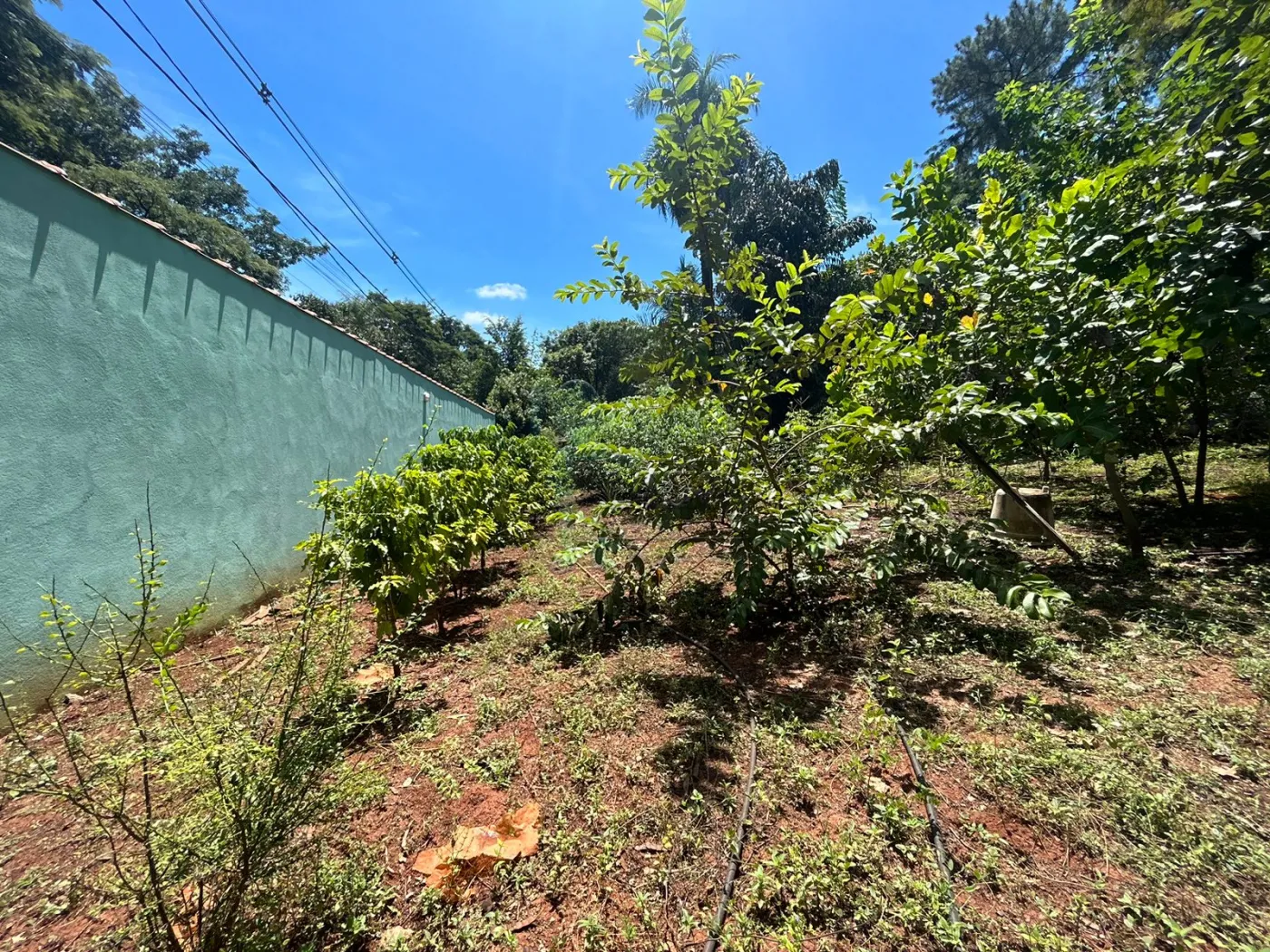 Comprar Casa / Chácara - Rancho em Ribeirão Preto R$ 1.350.000,00 - Foto 31