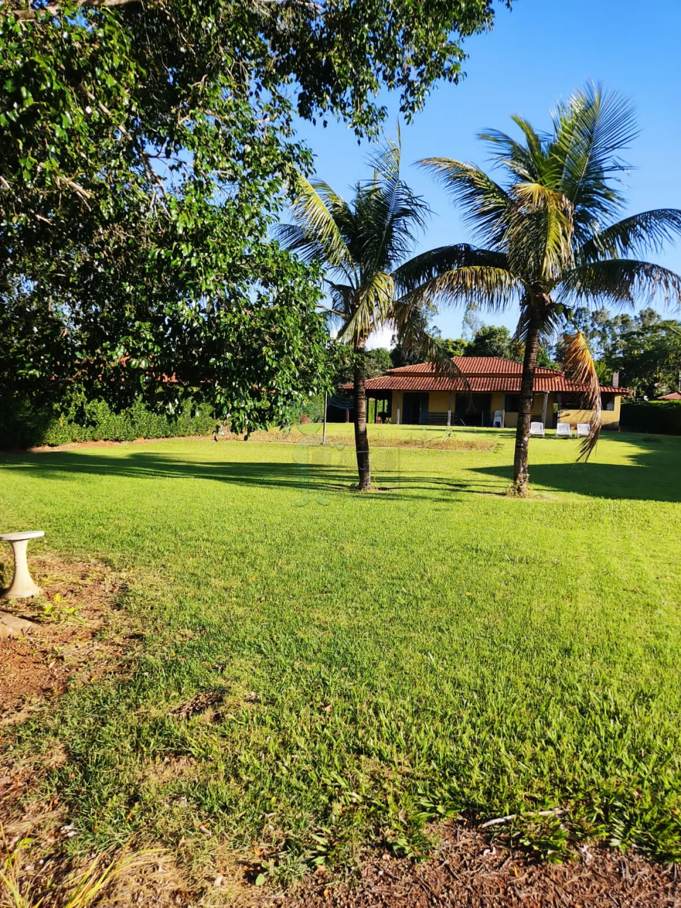 Comprar Rural / Sítio em Cássia R$ 750.000,00 - Foto 41