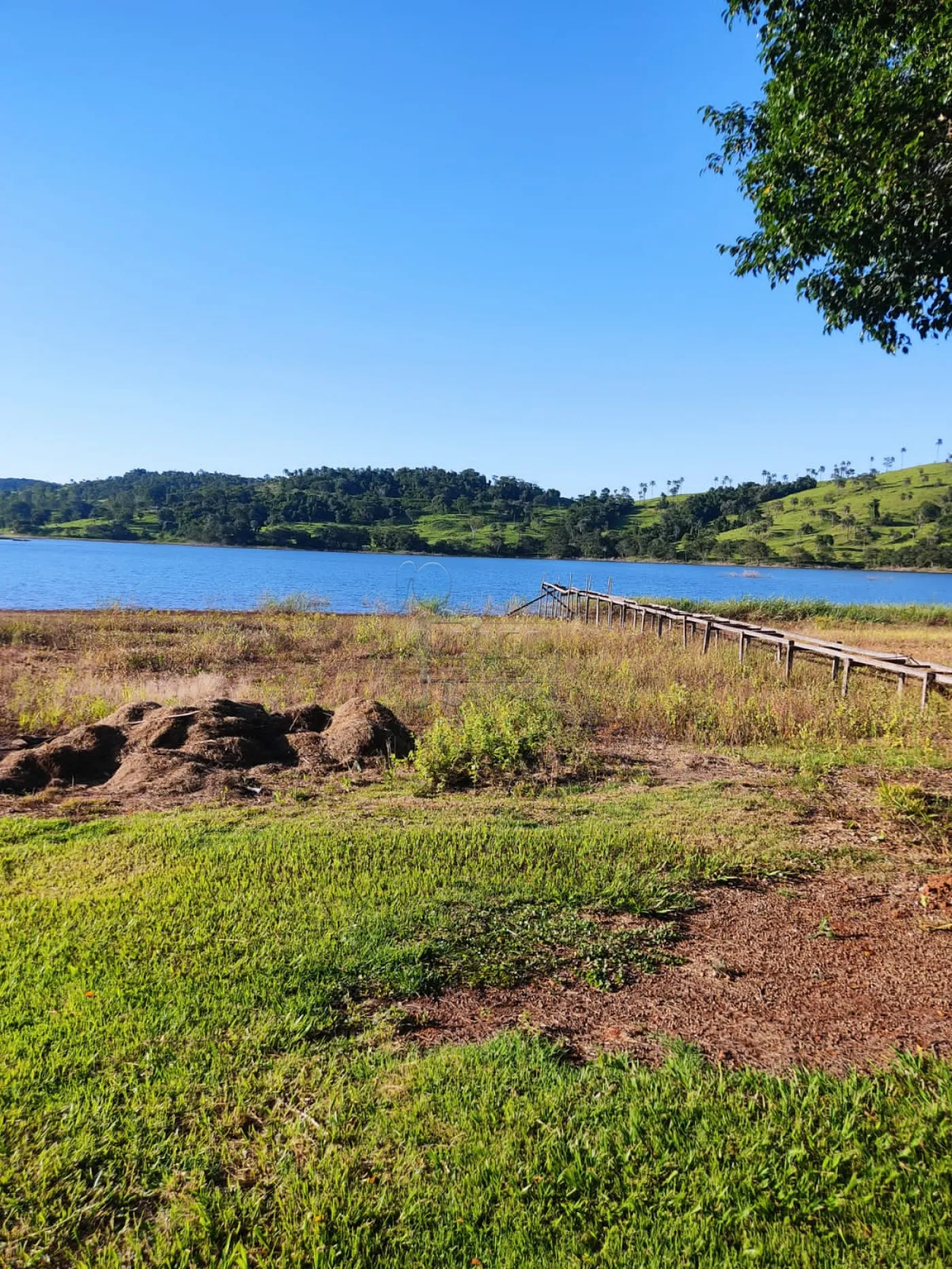 Comprar Rural / Sítio em Cássia R$ 750.000,00 - Foto 45