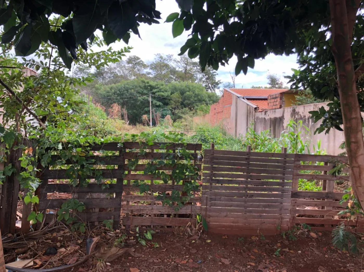 Comprar Terreno / Padrão em Jardinópolis R$ 107.000,00 - Foto 1