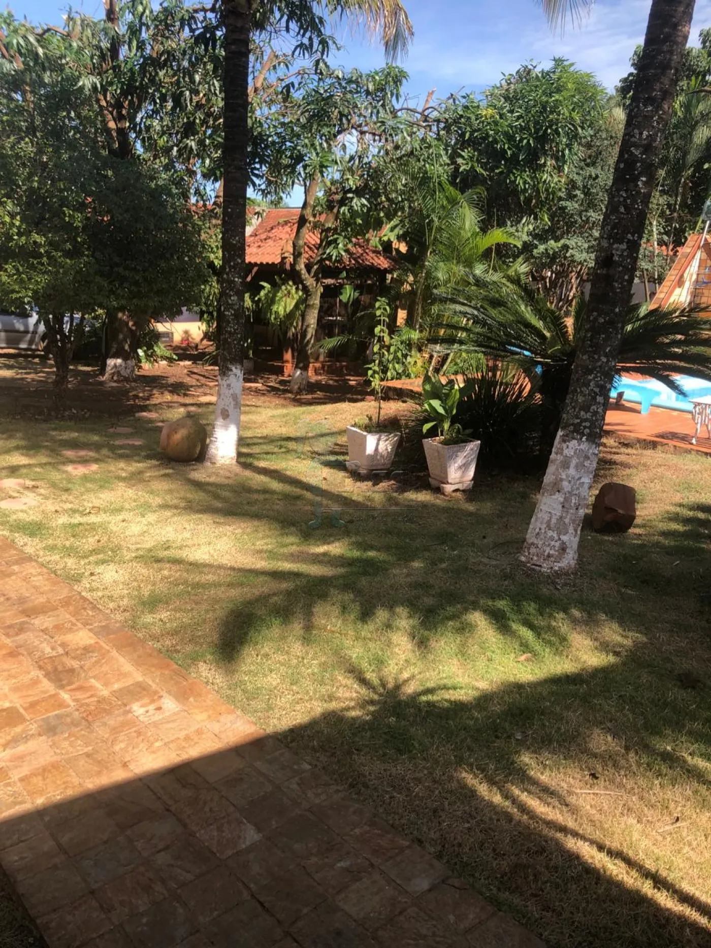 Comprar Casa / Chácara - Rancho em Ribeirão Preto R$ 1.100.000,00 - Foto 5