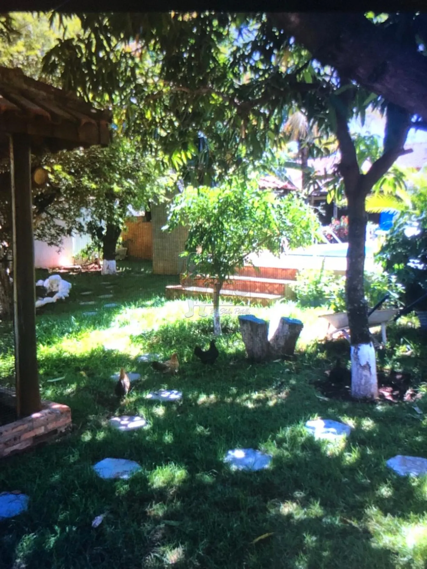 Comprar Casas / Chácara/Rancho em Ribeirão Preto R$ 1.100.000,00 - Foto 13