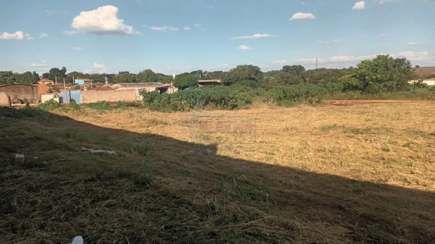 Comprar Terreno / Padrão em Jardinópolis R$ 4.800.000,00 - Foto 3