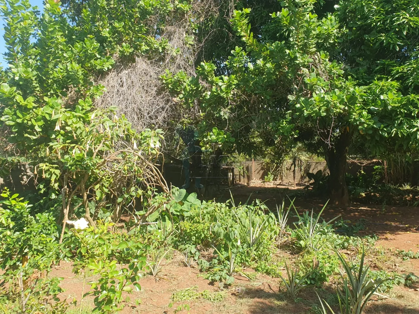 Comprar Terreno / Padrão em Ribeirão Preto R$ 400.000,00 - Foto 7