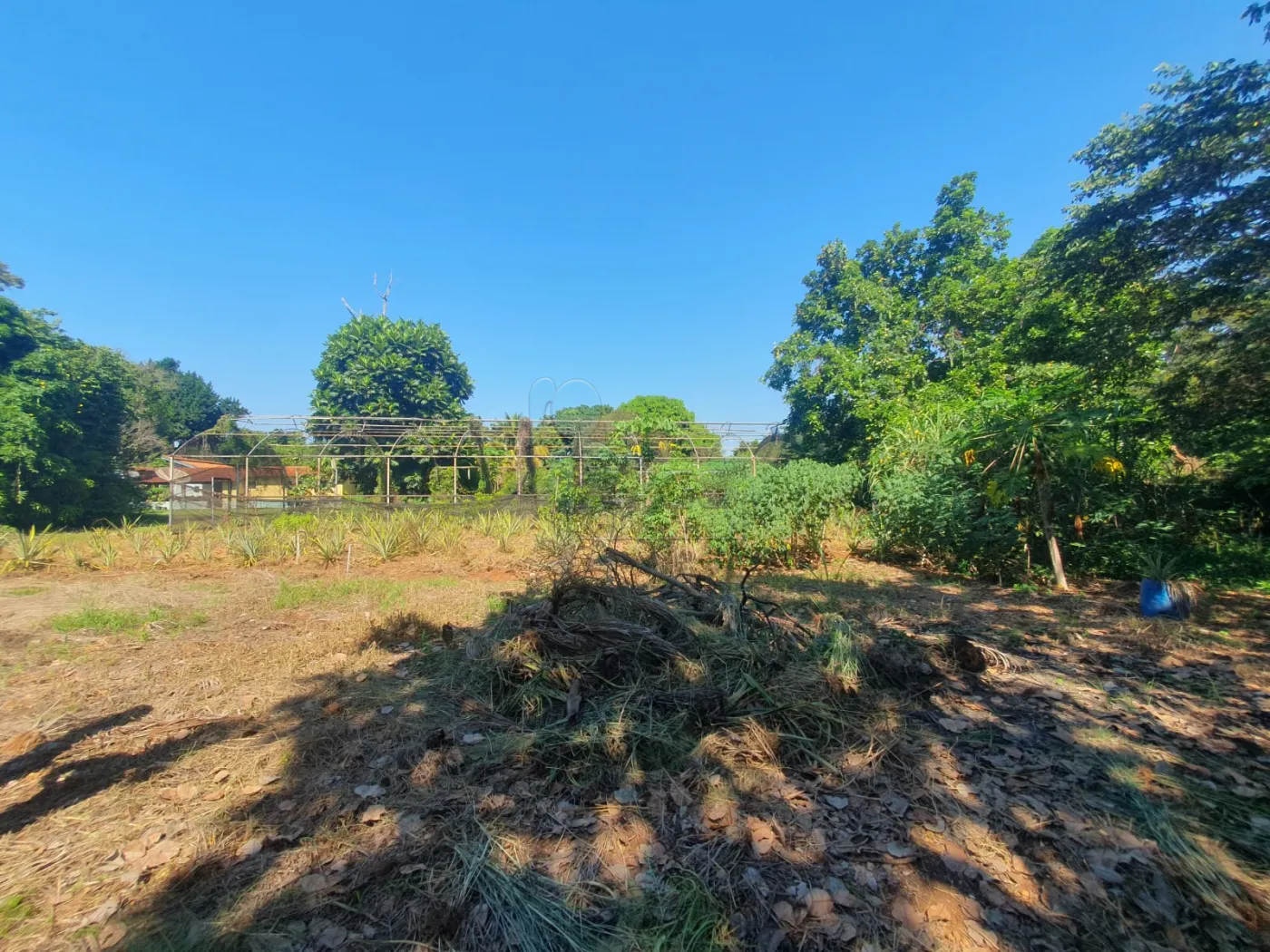 Comprar Terreno / Padrão em Ribeirão Preto R$ 500.000,00 - Foto 3