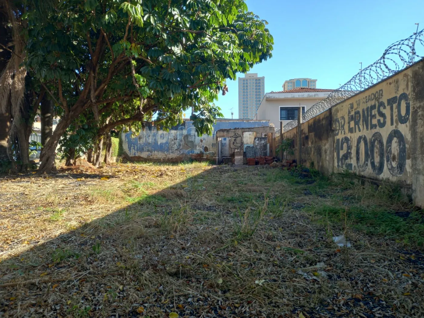 Alugar Terrenos / Padrão em Ribeirão Preto R$ 2.000,00 - Foto 4