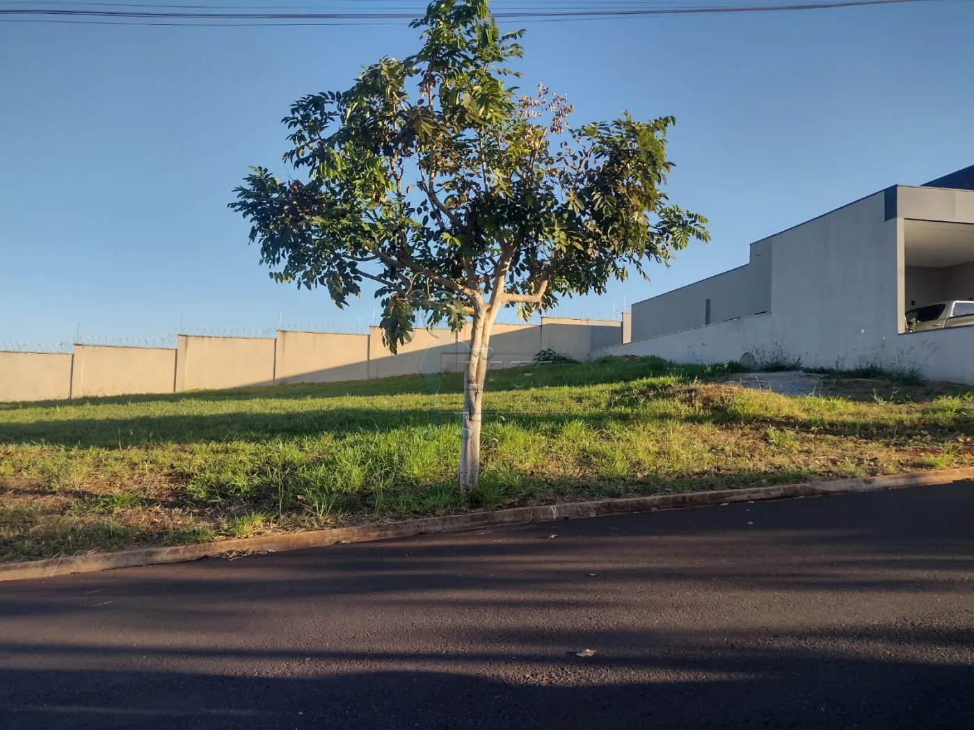 Comprar Terrenos / Condomínio em Ribeirão Preto R$ 212.000,00 - Foto 1