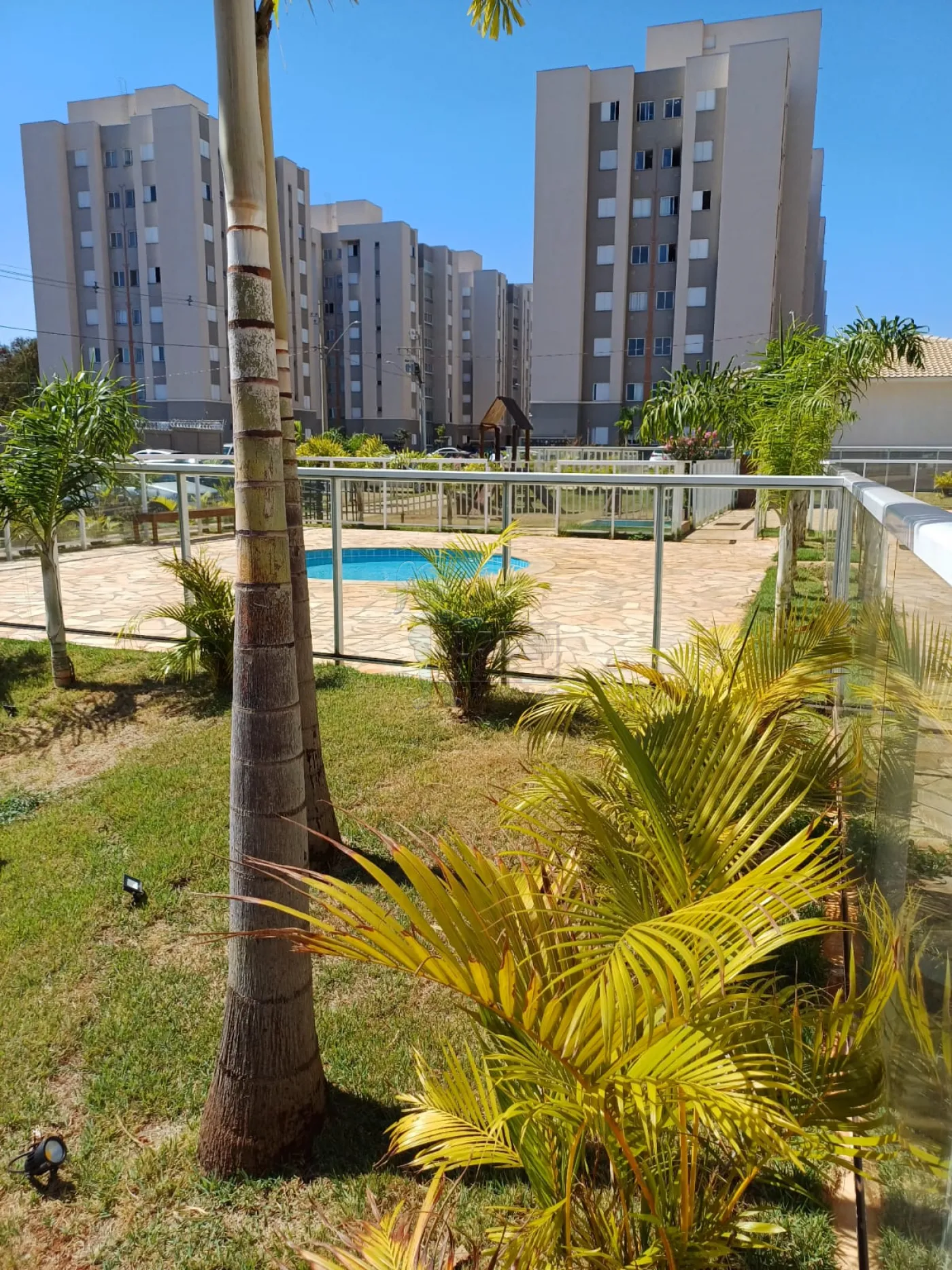 Alugar Apartamento / Padrão em Ribeirão Preto R$ 1.300,00 - Foto 15