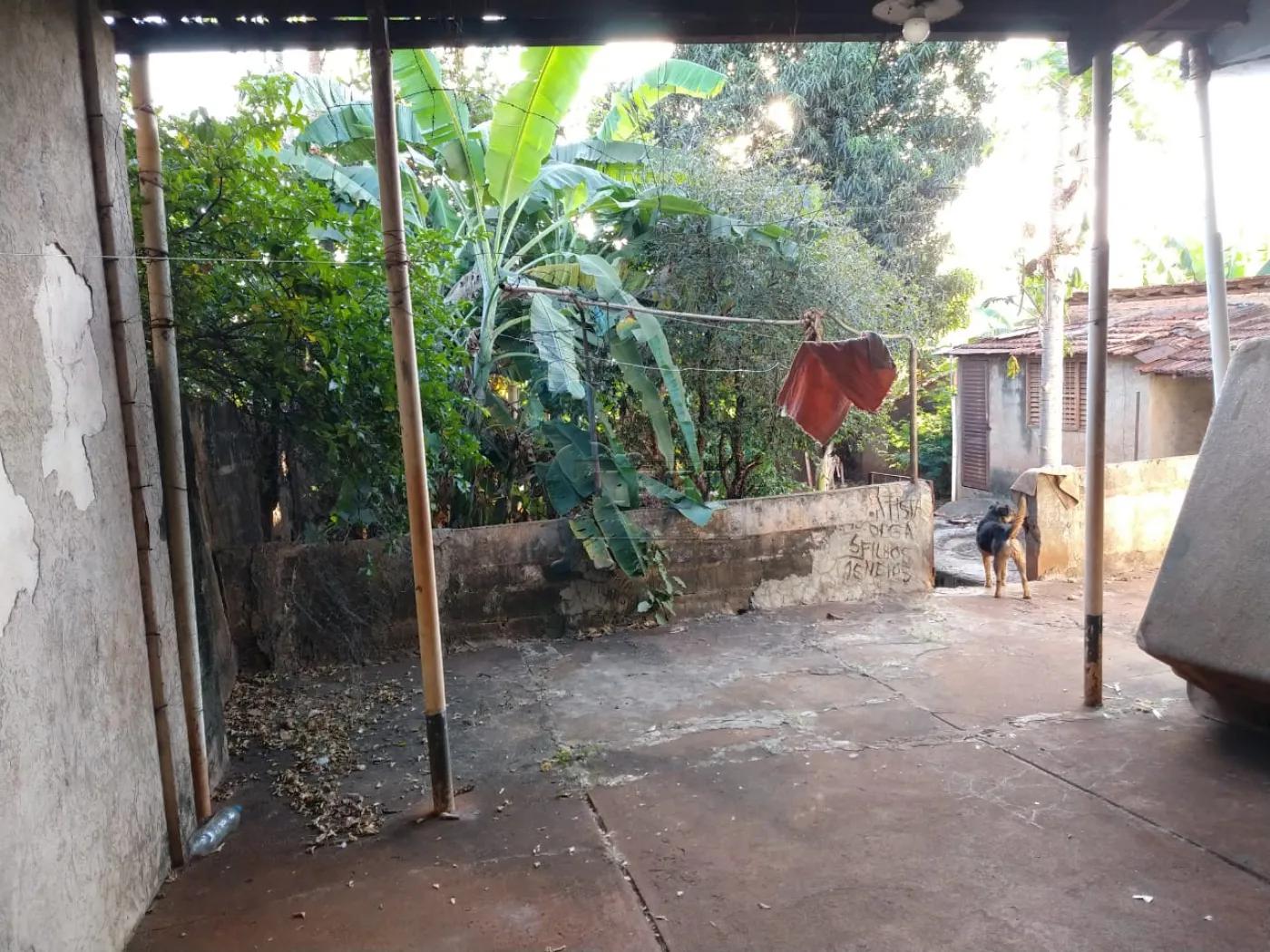 Comprar Casa / Chácara - Rancho em Ribeirão Preto R$ 600.000,00 - Foto 22