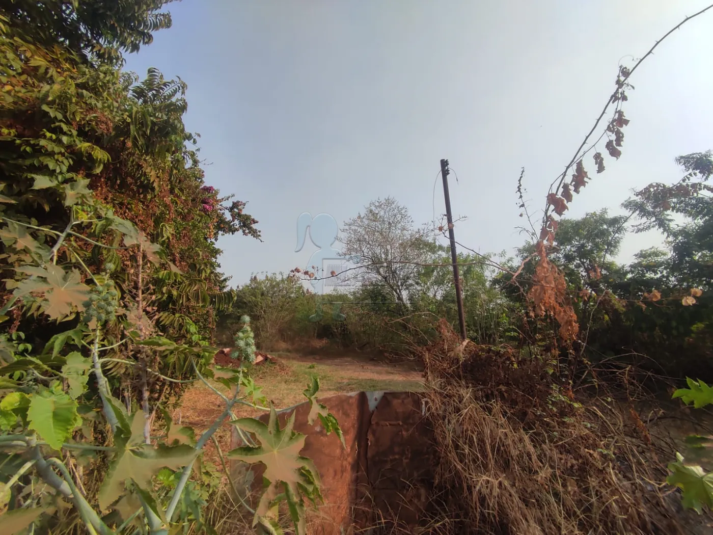 Comprar Terreno / Padrão em Ribeirão Preto R$ 380.000,00 - Foto 6