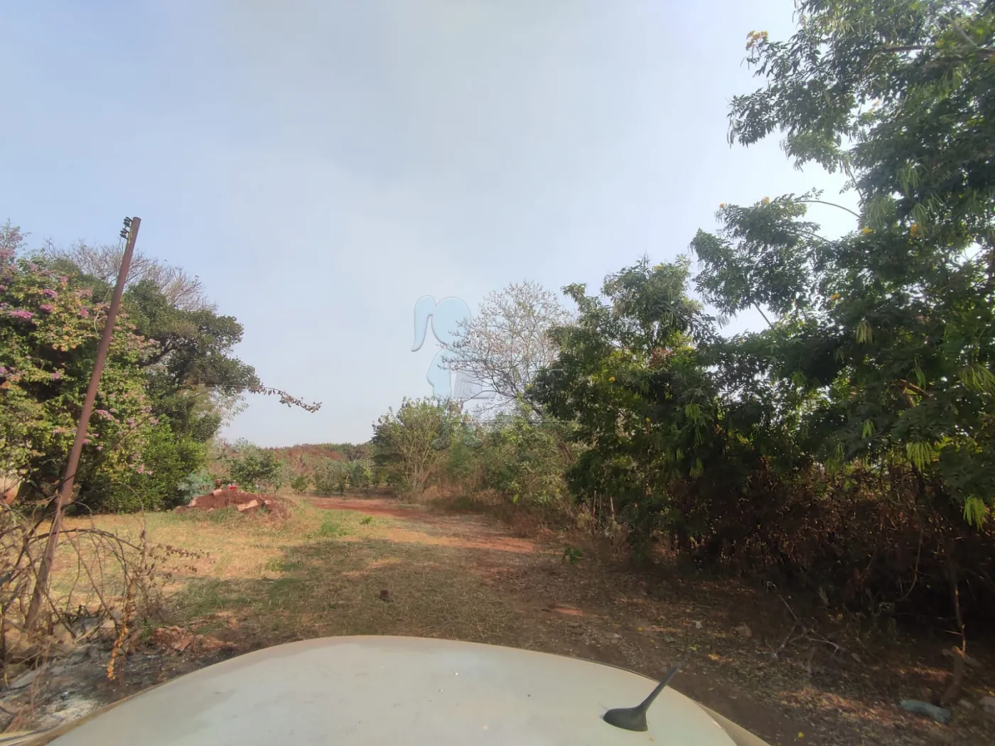 Comprar Terreno / Padrão em Ribeirão Preto R$ 380.000,00 - Foto 1