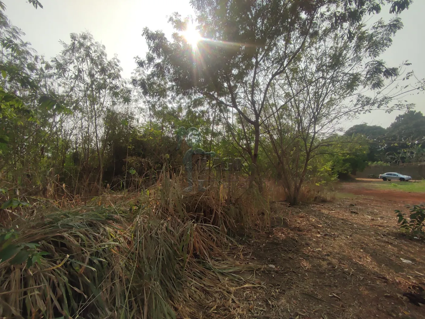 Comprar Terreno / Padrão em Ribeirão Preto R$ 380.000,00 - Foto 4