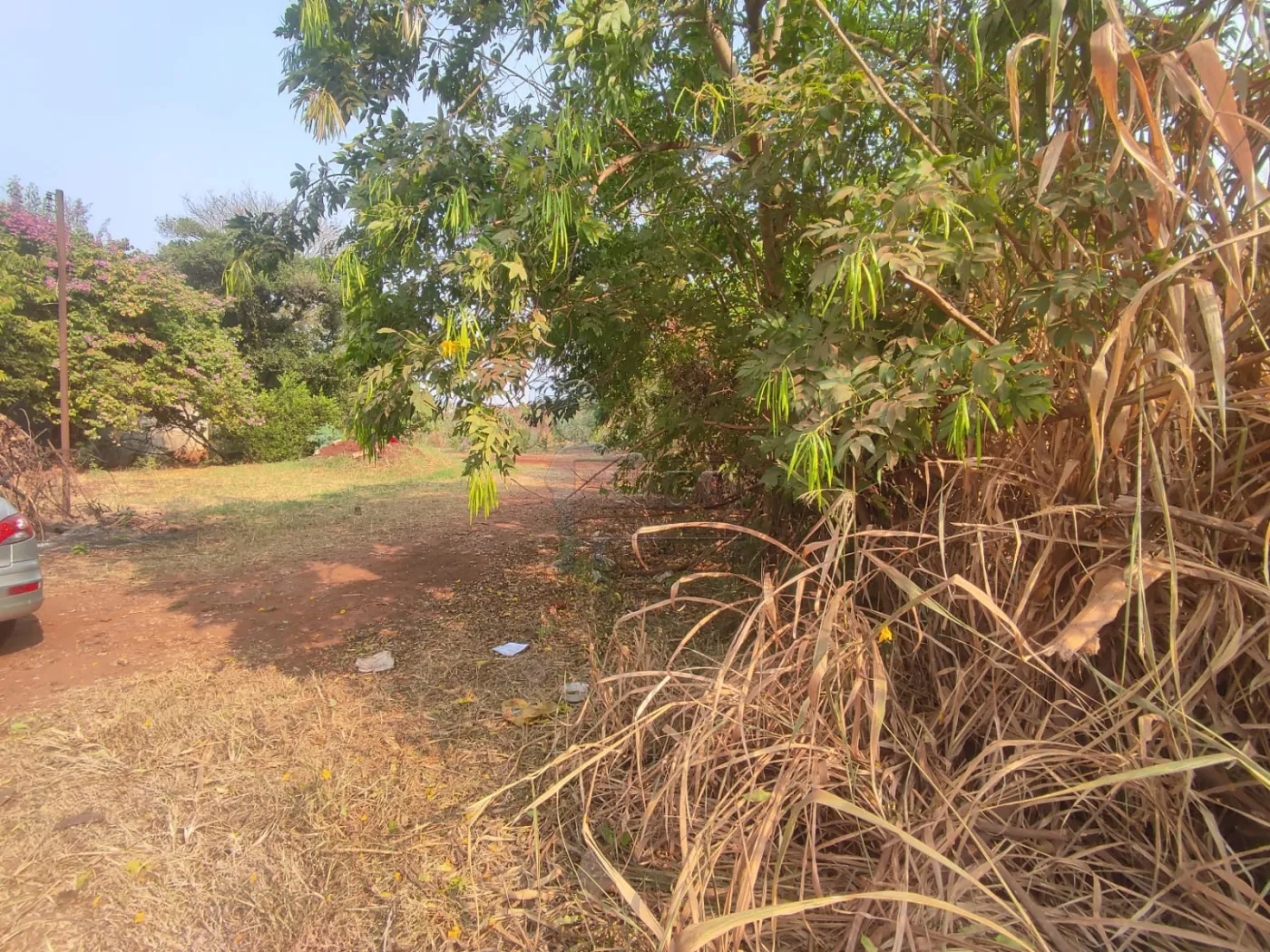 Comprar Terreno / Padrão em Ribeirão Preto R$ 380.000,00 - Foto 11