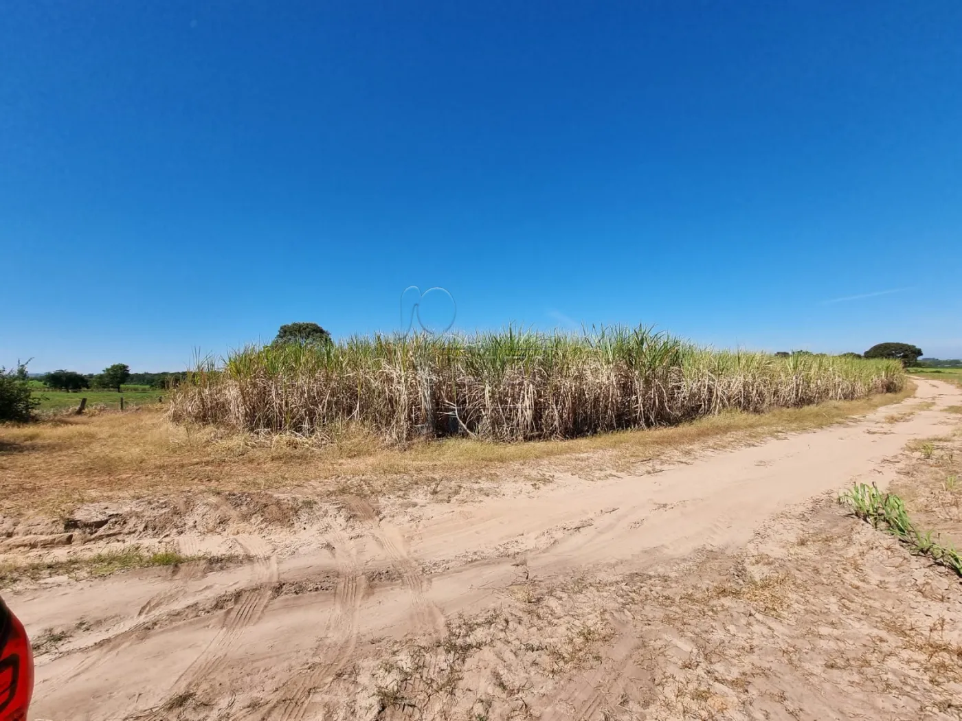 Comprar Rural / Sítio em Cássia dos Coqueiros R$ 2.000.000,00 - Foto 7