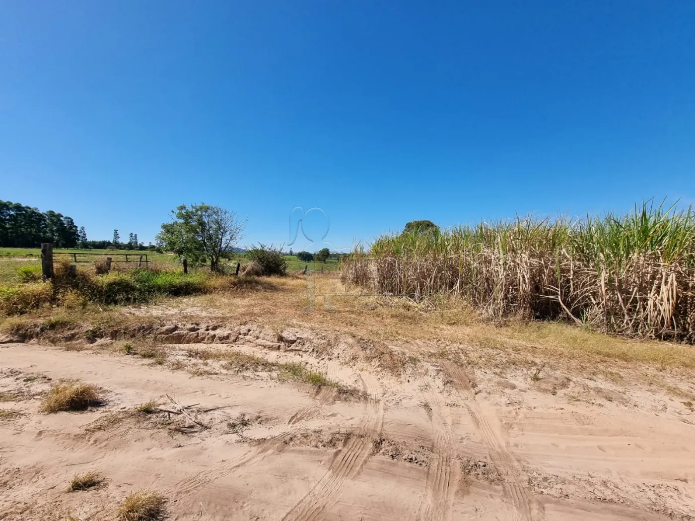 Comprar Rural / Sítio em Cássia dos Coqueiros R$ 2.000.000,00 - Foto 11