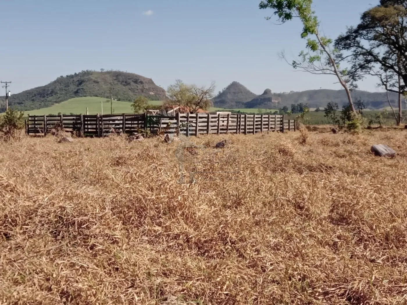 Comprar Rural / Sítio em Cássia dos Coqueiros R$ 3.000.000,00 - Foto 1