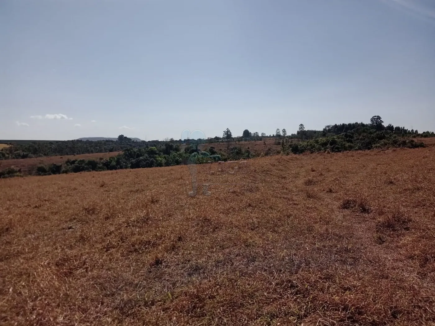 Comprar Rural / Sítio em Cássia dos Coqueiros R$ 3.000.000,00 - Foto 4