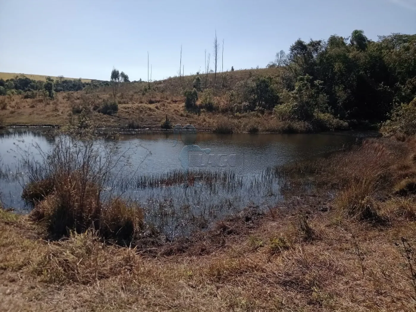 Comprar Rural / Sítio em Cássia dos Coqueiros R$ 3.000.000,00 - Foto 6