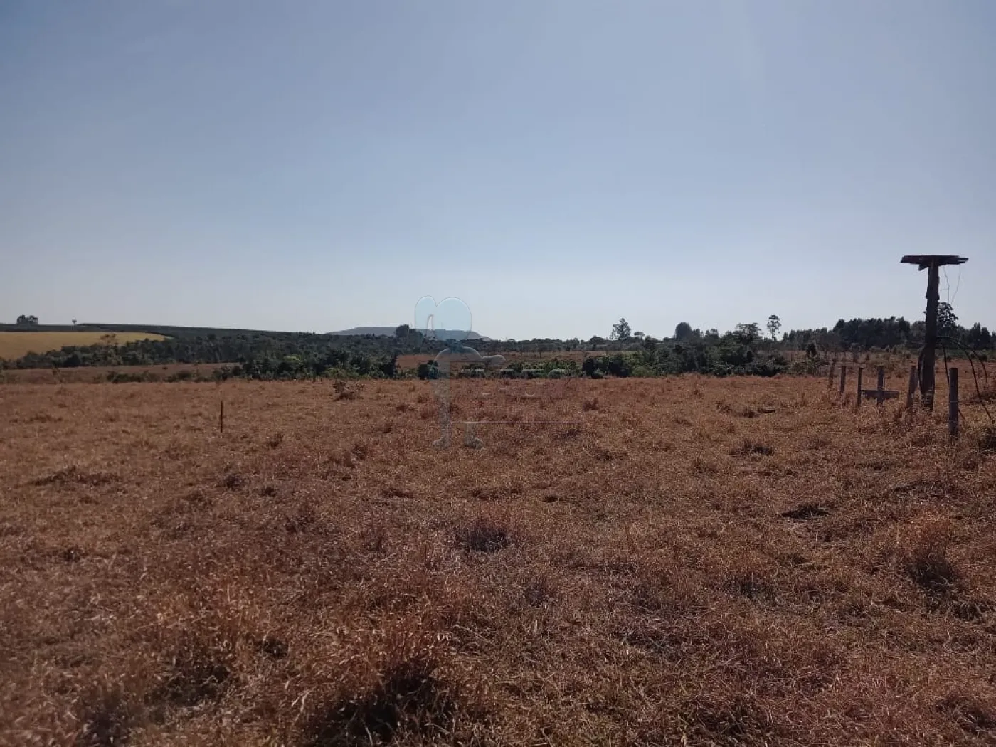 Comprar Rural / Sítio em Cássia dos Coqueiros R$ 3.000.000,00 - Foto 10